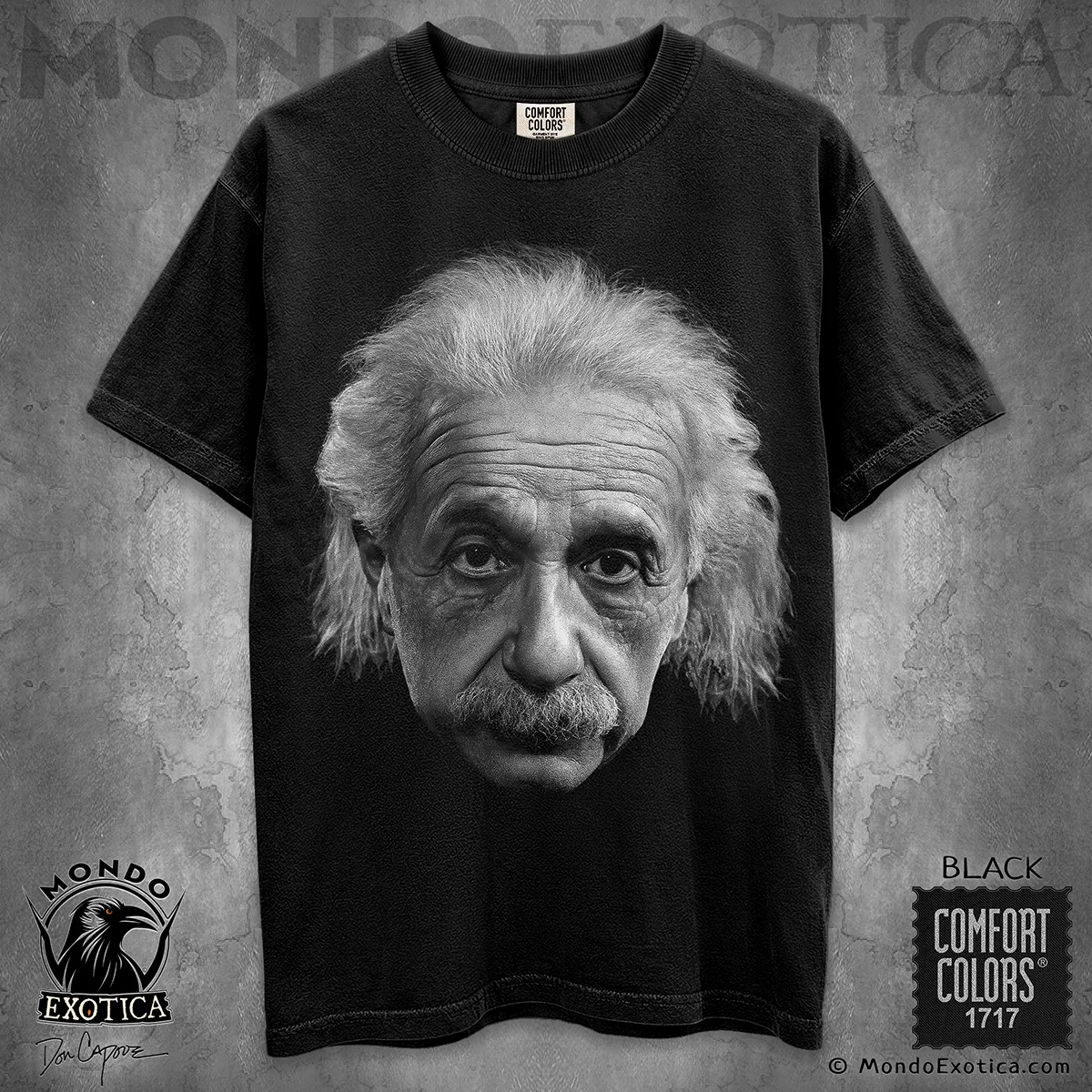 Albert Einstein Face Portrait